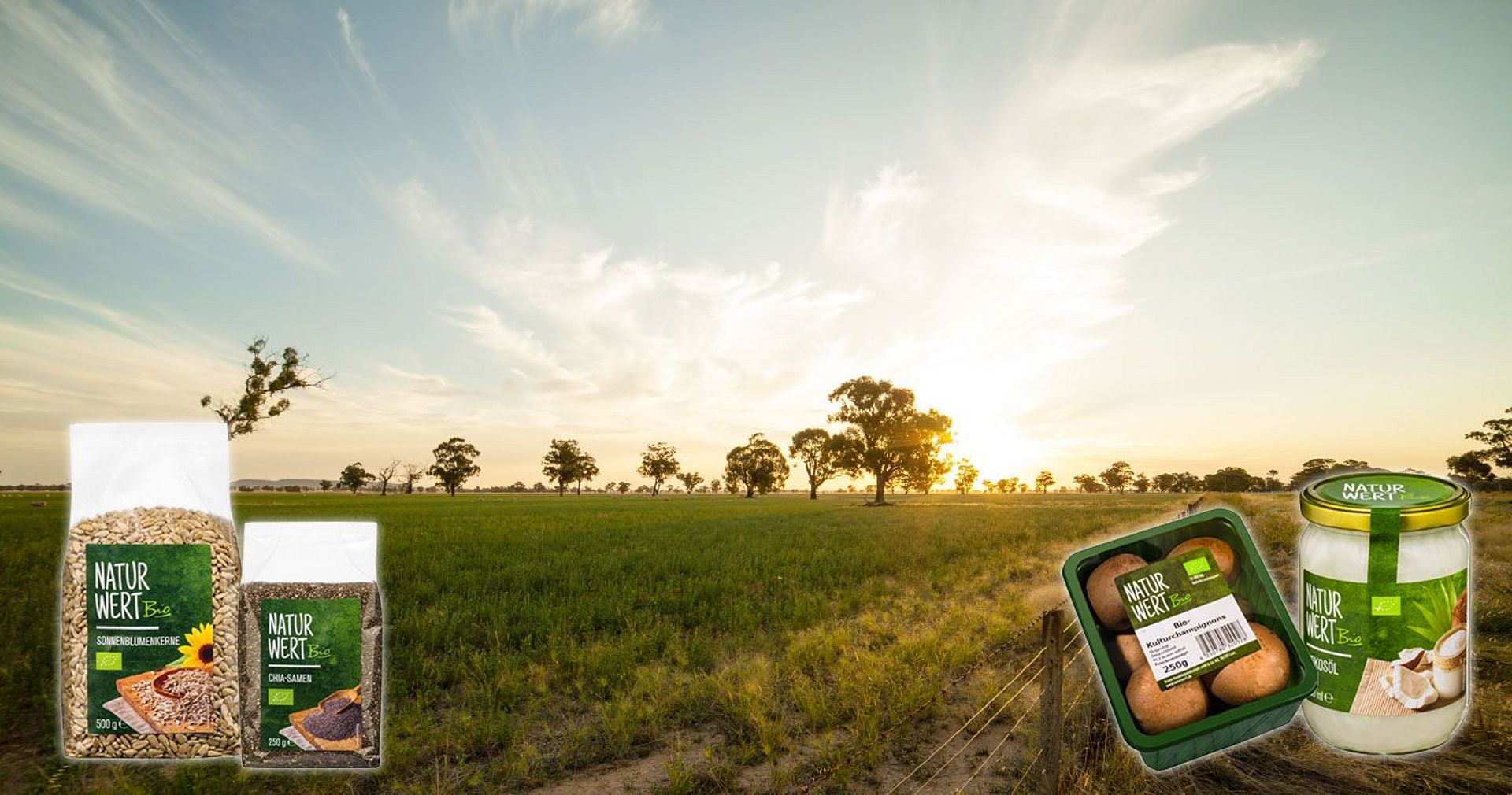 Naturwert-Bio-Header-Startseite-Feld