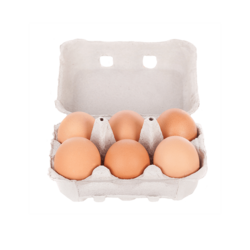 Eier